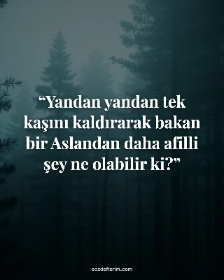 Yandan yandan tek kaşını kaldırarak bakan bir Aslandan daha afilli şey ne olabil