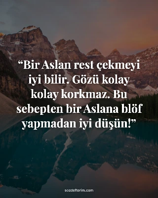 Bir Aslan rest çekmeyi iyi bilir. Gözü kolay kolay korkmaz. Bu sebepten bir Asla