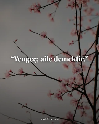 Yengeç; aile demektir.