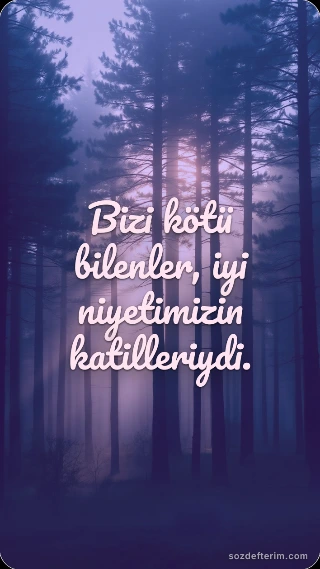 Bizi kötü bilenler, iyi niyetimizin katilleriydi.