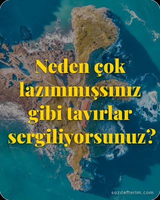 Neden çok lazımmışsınız gibi tavırlar sergiliyorsunuz?