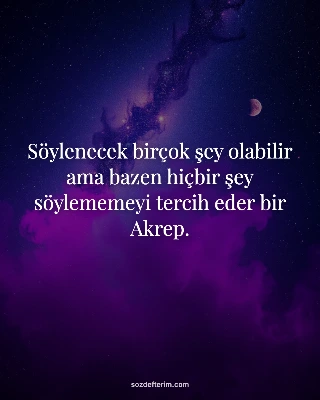 Söylenecek birçok şey olabilir ama bazen hiçbir şey söylememeyi tercih eder bir 