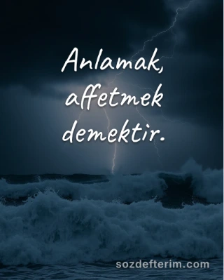 Anlamak, affetmek demektir.