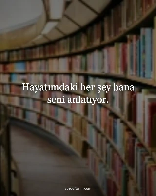 Hayatımdaki her şey bana seni anlatıyor.