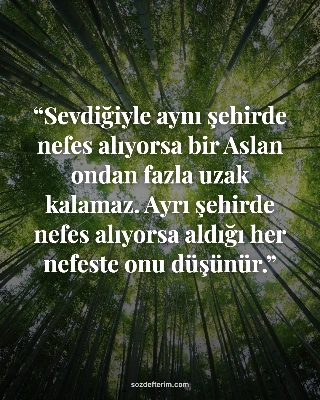 Sevdiğiyle aynı şehirde nefes alıyorsa bir Aslan ondan fazla uzak kalamaz. Ayrı 