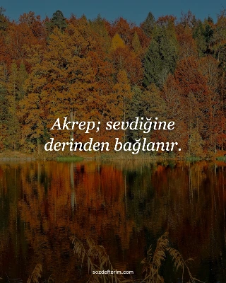 Akrep; sevdiğine derinden bağlanır.