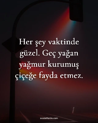 Her şey vaktinde güzel. Geç yağan yağmur kurumuş çiçeğe fayda etmez.