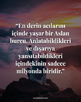 En derin acılarını içinde yaşar bir Aslan burcu. Anlatabildikleri ve dışarıya ya