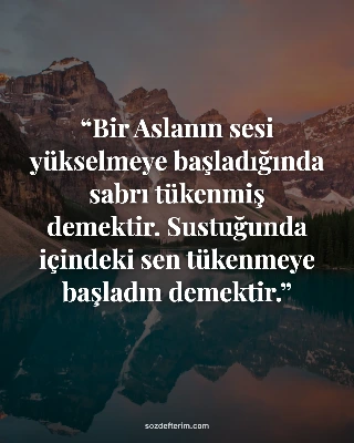 Bir Aslanın sesi yükselmeye başladığında sabrı tükenmiş demektir. Sustuğunda içi
