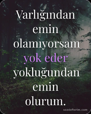 Varlığından emin olamıyorsam yok eder yokluğundan emin olurum.