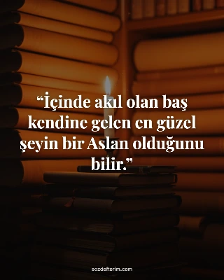 İçinde akıl olan baş kendine gelen en güzel şeyin bir Aslan olduğunu bilir.