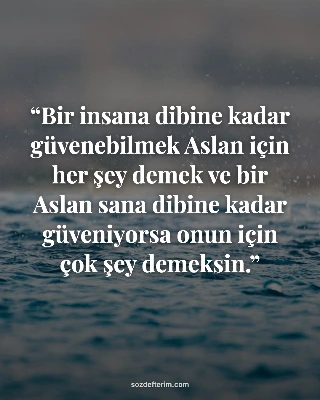 Bir insana dibine kadar güvenebilmek Aslan için her şey demek ve bir Aslan sana 