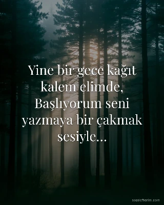 Yine bir gece kağıt kalem elimde,
Başlıyorum seni yazmaya bir çakmak sesiyle…