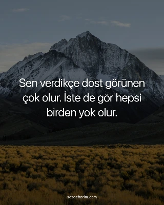 Sen verdikçe dost görünen çok olur. İste de gör hepsi birden yok olur.