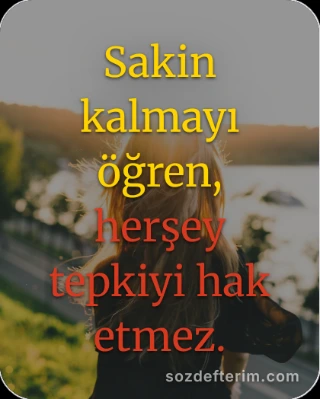 Sakin kalmayı öğren, herşey tepkiyi hak etmez.