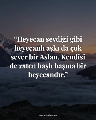 Heyecan sevdiği gibi heyecanlı aşkı da çok sever bir Aslan. Kendisi de zaten baş