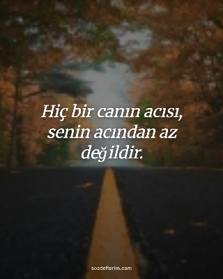 Hiç bir canın acısı, senin acından az değildir.