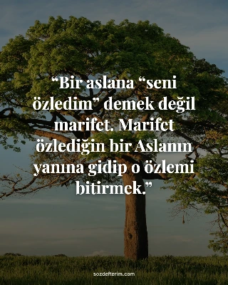 Bir aslana “seni özledim” demek değil marifet. Marifet özlediğin bir Aslanın yan