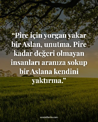 Pire için yorgan yakar bir Aslan, unutma. Pire kadar değeri olmayan insanları ar