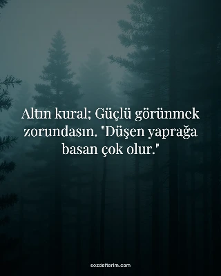 Altın kural; Güçlü görünmek zorundasın. "Düşen yaprağa basan çok olur."