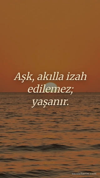 Aşk, akılla izah edilemez; yaşanır.