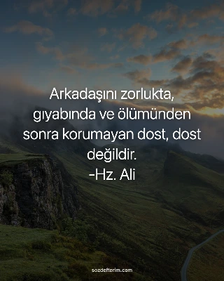 Arkadaşını zorlukta, gıyabında ve ölümünden sonra korumayan dost, dost değildir.