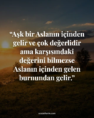 Aşk bir Aslanın içinden gelir ve çok değerlidir ama karşısındaki değerini bilmezse Aslanın içinden…