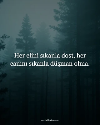 Her elini sıkanla dost, her canını sıkanla düşman olma.