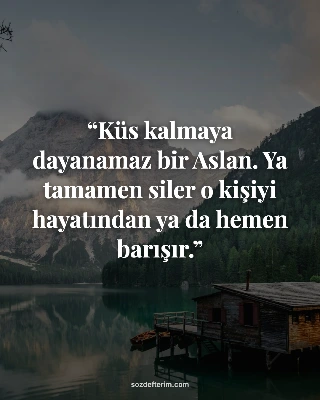 Küs kalmaya dayanamaz bir Aslan. Ya tamamen siler o kişiyi hayatından ya da heme