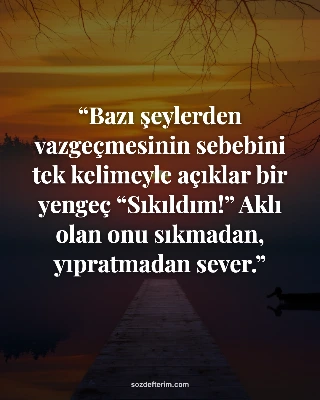 Bazı şeylerden vazgeçmesinin sebebini tek kelimeyle açıklar bir yengeç “Sıkıldım