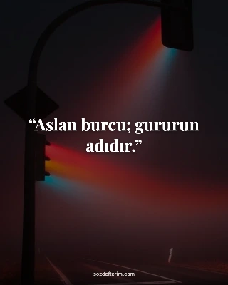 Aslan burcu; gururun adıdır.