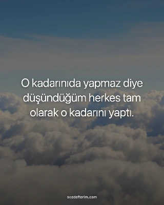O kadarınıda yapmaz diye düşündüğüm herkes tam olarak o kadarını yaptı.