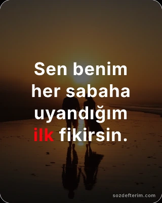 Sen benim her sabaha uyandığım ilk fikirsin.