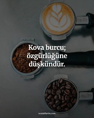 Kova burcu; özgürlüğüne düşkündür.