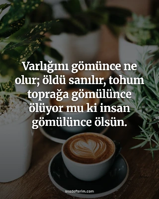 Varlığını gömünce ne olur; öldü sanılır, tohum toprağa gömülünce ölüyor mu ki in