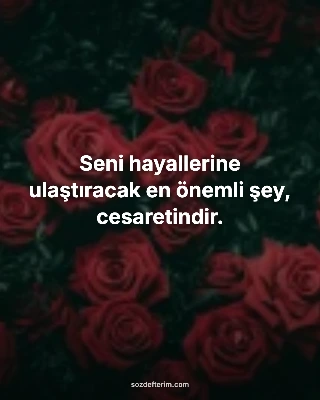 Seni hayallerine ulaştıracak en önemli şey, cesaretindir.