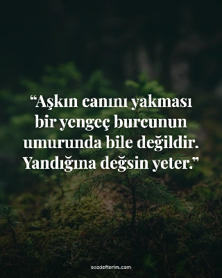 Aşkın canını yakması bir yengeç burcunun umurunda bile değildir. Yandığına değsin yeter.
