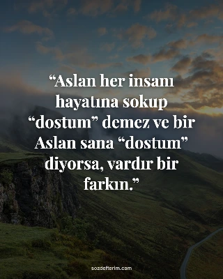 Aslan her insanı hayatına sokup “dostum” demez ve bir Aslan sana “dostum” diyors