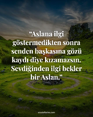 Aslana ilgi göstermedikten sonra senden başkasına gözü kaydı diye kızamazsın. Se