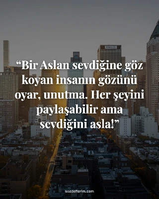 Bir Aslan sevdiğine göz koyan insanın gözünü oyar, unutma. Her şeyini paylaşabil