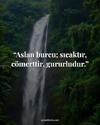 Aslan burcu; sıcaktır, cömerttir, gururludur.