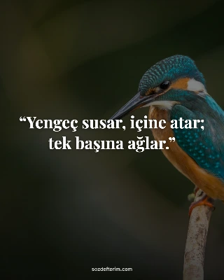 Yengeç susar, içine atar; tek başına ağlar.