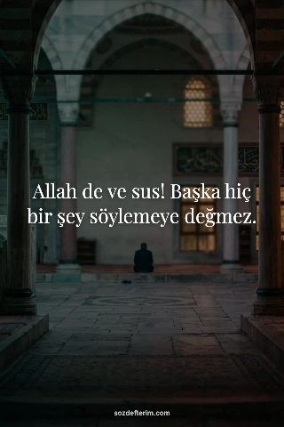 Allah de ve sus! Başka hiç bir şey söylemeye değmez.
