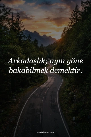 Arkadaşlık; aynı yöne bakabilmek demektir.