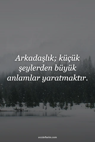 Arkadaşlık; küçük şeylerden büyük anlamlar yaratmaktır.