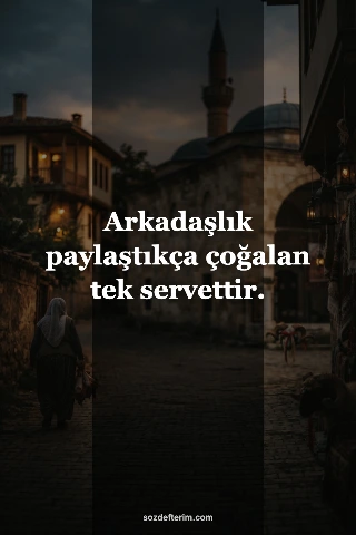 Arkadaşlık paylaştıkça çoğalan tek servettir.