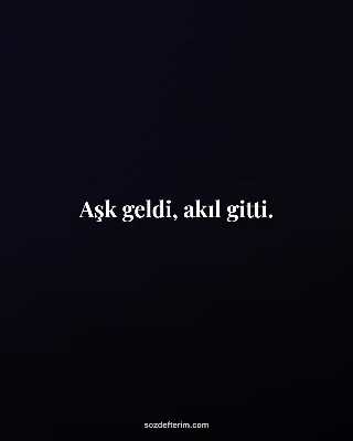 Aşk geldi, akıl gitti.