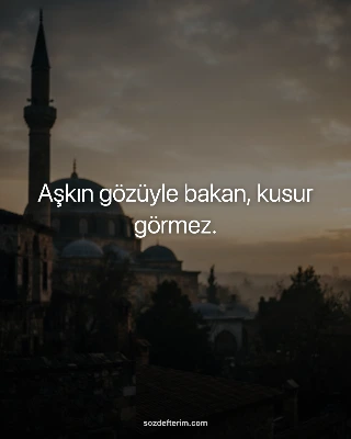 Aşkın gözüyle bakan, kusur görmez.