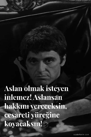 Aslan olmak isteyen inlemez! Aslansan hakkını vereceksin, cesareti yüreğine koya