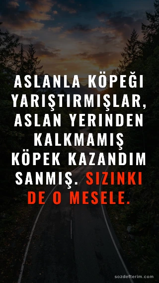 Aslanla köpeği yarıştırmışlar, aslan yerinden kalkmamış köpek kazandım sanmış. Sizinki de o mesele.